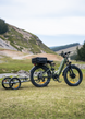 ENGWE E26 3.0 dual motor all-terrain e-bike