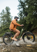 ENGWE E26 3.0 dual motor all-terrain e-bike