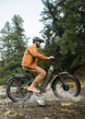 ENGWE E26 3.0 dual motor all-terrain e-bike