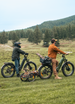 ENGWE E26 3.0 dual motor all-terrain e-bike