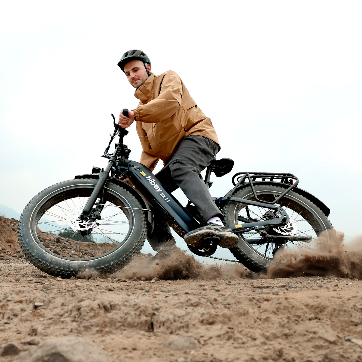 Hiboy EX11 electric bike, chameleon