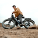 Hiboy EX11 electric bike, chameleon