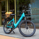 Hiboy EX9 electric bike, gray