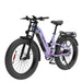 Hiboy EX11 electric bike, chameleon